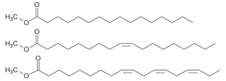 Transestérification - Ester méthylique d'acide gras