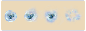 a molecule breaking down and eliminating a cluster of blue particles, representing odor removal.