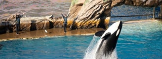SeaWorld San Diego Park California