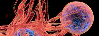 Vitiligo - melanocyte cells ray and rio's speciality clinic
