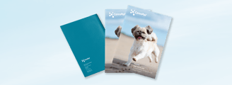 CannMax Product Report, typesetting by Michelle Pirovich, Squeezebox