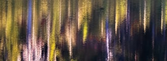 Abstract