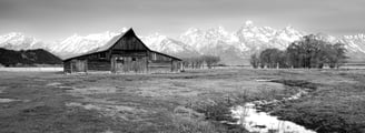 Mormon Row