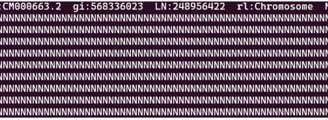 Reference genome first hundred bases shell output