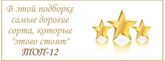 Самые дорогие сорта чая топ 12 онлайн магазин №1 в Испании