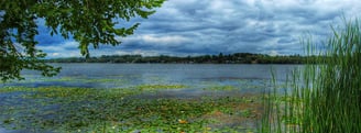 A large wetland evaluated in Ontario by Environmental Consultants at Aster Environmental.