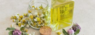 Benefits chamomile