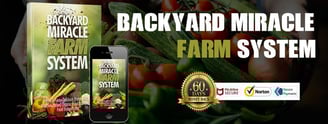 growing organic vegetables