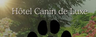 pension canine