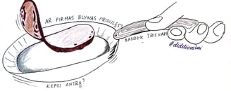 pirmas blynas