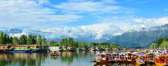 a bunch of houseboats and shikara are parked in a row
