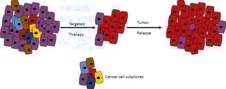 intratumor heterogeneity
