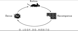 Charles Duhigg, em O Poder do Hábito