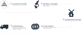 polselli lab