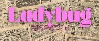 Ladybug Dispatch is the name of this series