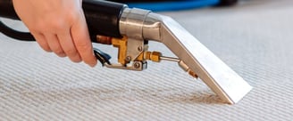Technicien de M & M Services Pro effectuant un shampouinage professionnel d’un tapis à motifs à Roue