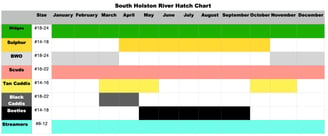 The South Holston River Fly Fishing Hatch Chart