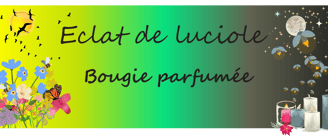 banner of the site #eclatdeluciole.fr