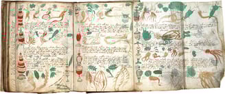 Manuscrito Voynich
