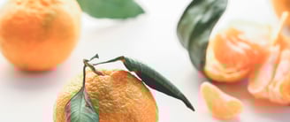 healthy recipes blog