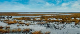 A Scenic Ramsar/Wetland Site.