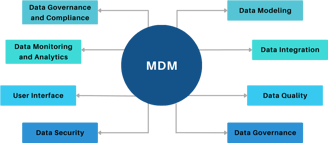 Master Data Management