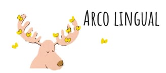 arco lingual