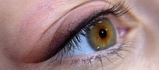 a close up of a person's eye with a brown eye