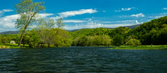 Late spring on the South Holston River.