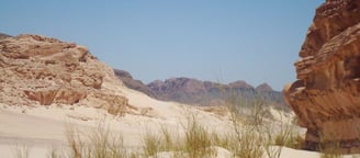 Desert safari Bedouin star Egypt