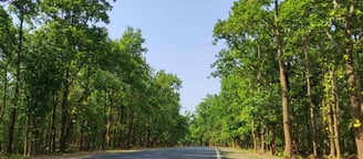 "Chhattisgarh's green forests with roads–nature meets progress"