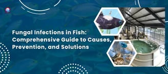 Fungal Infections in Fish: Comprehensive Guide to Causes, Prevention, and Solutions