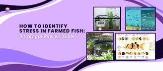 How to Identify Stress in Farmed Fish: A Comprehensive Guide