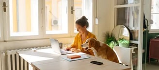 image représentant les stratégie a mettre en place pour monétiser son site avec l'affiliation