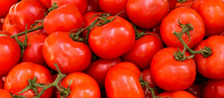 a bunch of tomatoes are shown in this picture