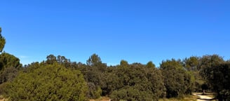 Visuel-Clos-Gaillard-Nîmes