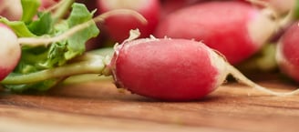 culture de légumes racines