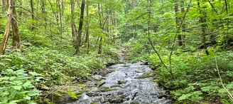 Crossing a Stream while Hiking