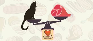Cat and meat on scales