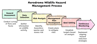 A graphical diagram displaying the Aerodrome wildlife hazards management process