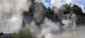 Mud Pool Rotorua