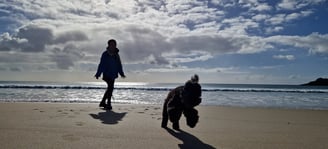 Balade sur la plage