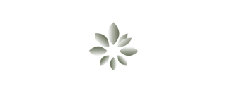 Žemiška logotipo ir vizualinio identiteto kūrimas. Rasa Macevičiūtė. Rasamace