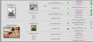Walling's "Bullyson" 2xW 1xL ROM Pedigree APBT History