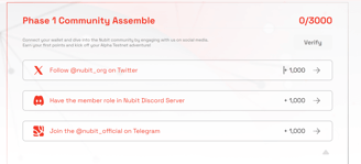 Phase 01 Community Nubit testnet