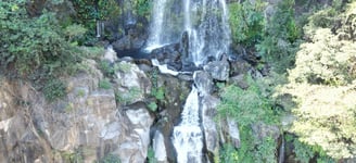 a waterfall in the middle of a lush green forest