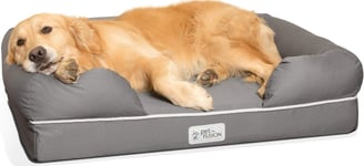 a golden retriever laying on a dog bed