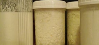 Homemade Kefir Made every morning.