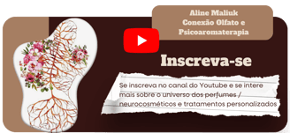 Canal do youtube de Aline Maliuk