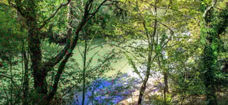 Hiking trail view